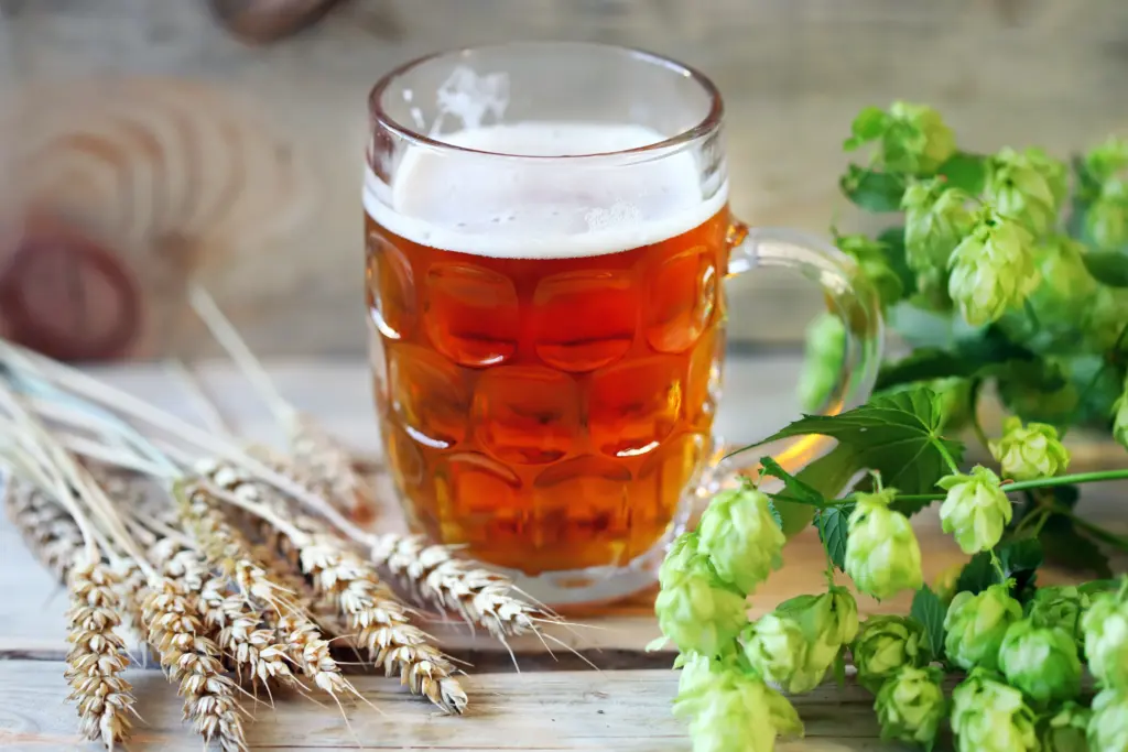 refreshing beer in glass with hops and wheat 2026 01 11 08 49 36 utc